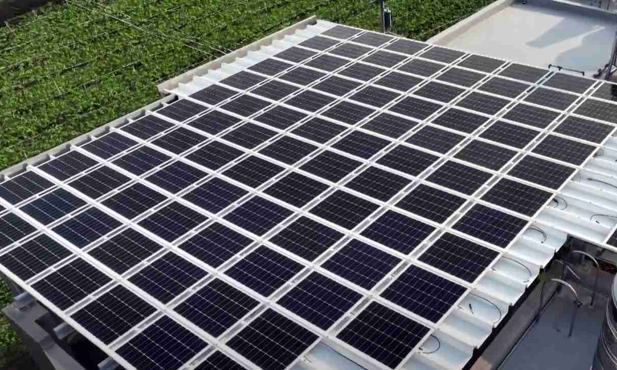 菠菜论坛SunSteel光电浪板升级双玻结构，，以提升机械负载强度及气候耐候度，，，可广泛运用于多元场域